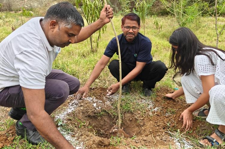 Beyond Planting Trees: The Community Ownership Model Behind M3M Foundation's 83% Tree Survival Success